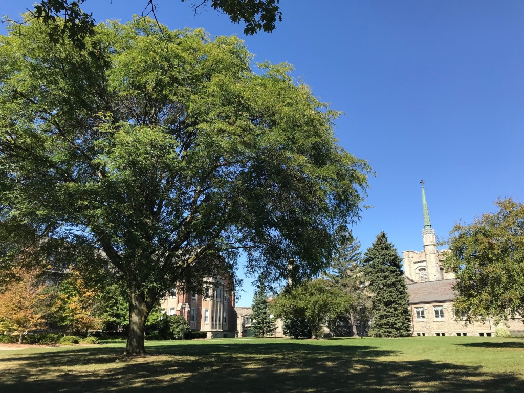 Huron Pic 1 Huron Pic 1