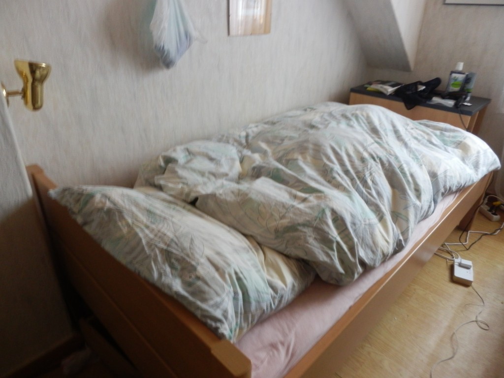 PA300616 PA300616