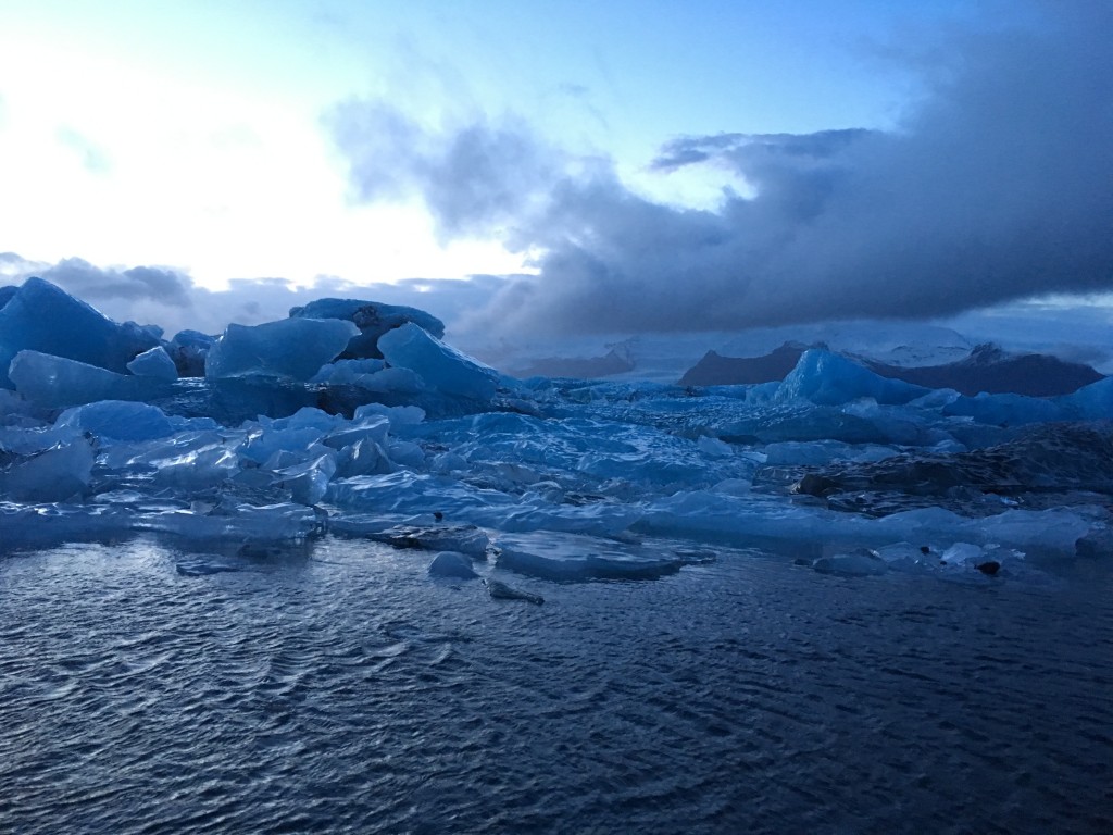 IMG_1305 IMG_1305